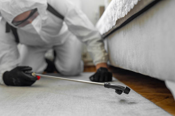 Professional Bed Bug Control technician working in Van Buren County County, MI